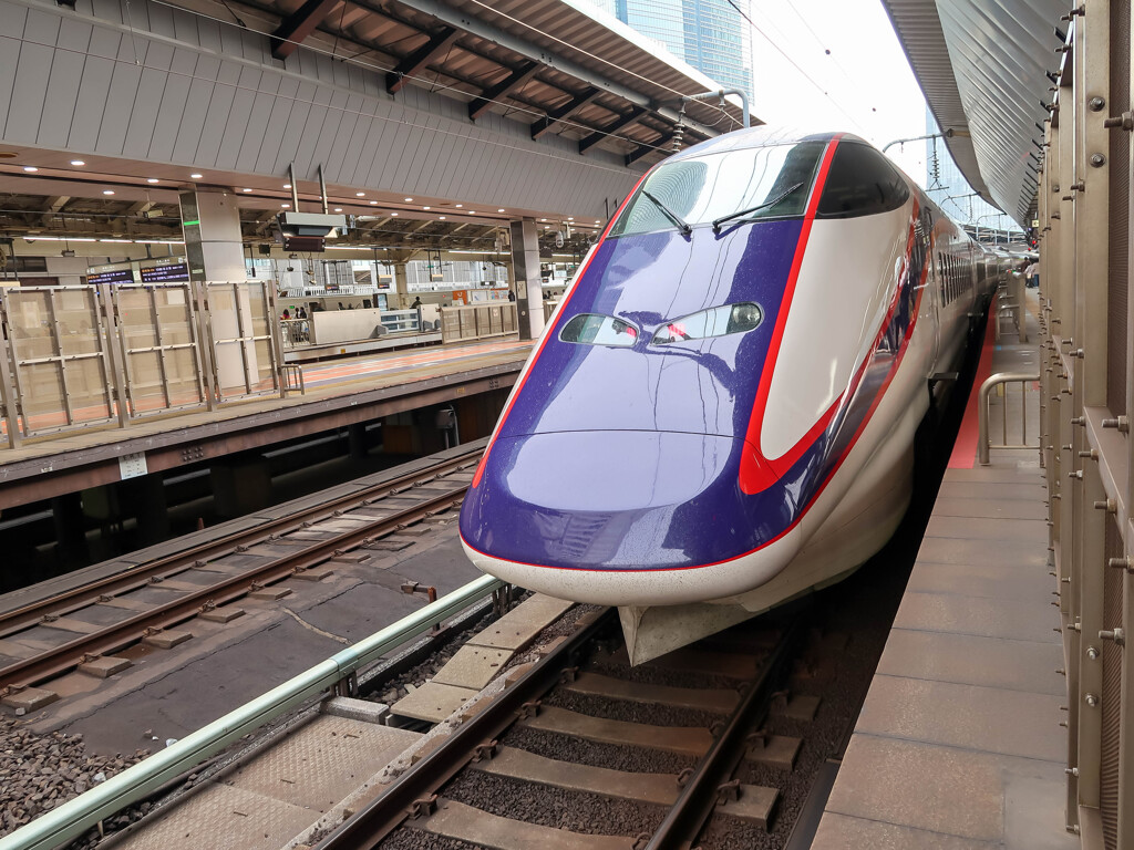 東京駅見物