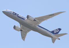 ７８７のお腹