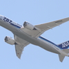 ７８７のお腹