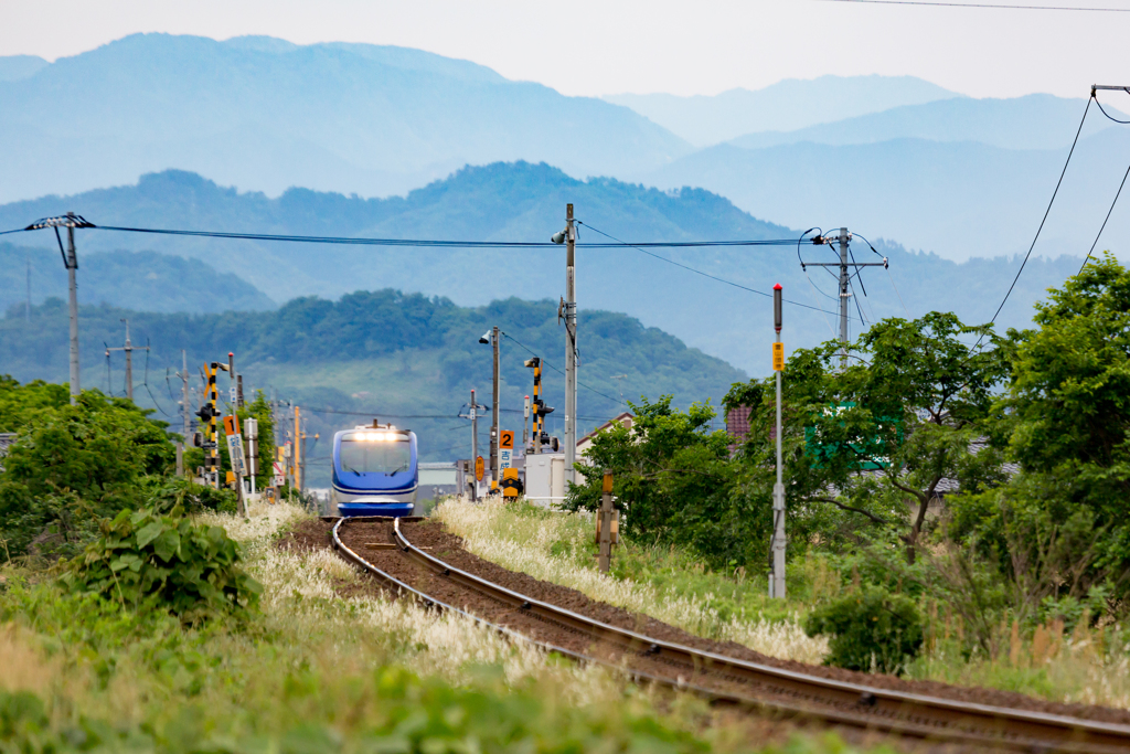 山から降りてきた