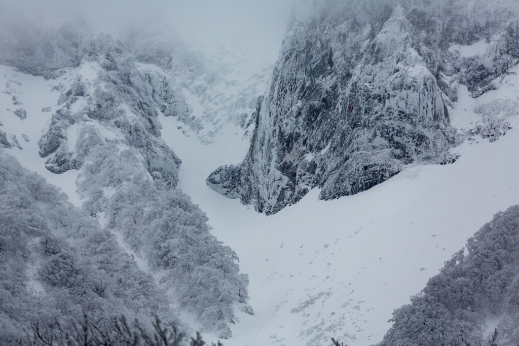 大山雪降り３