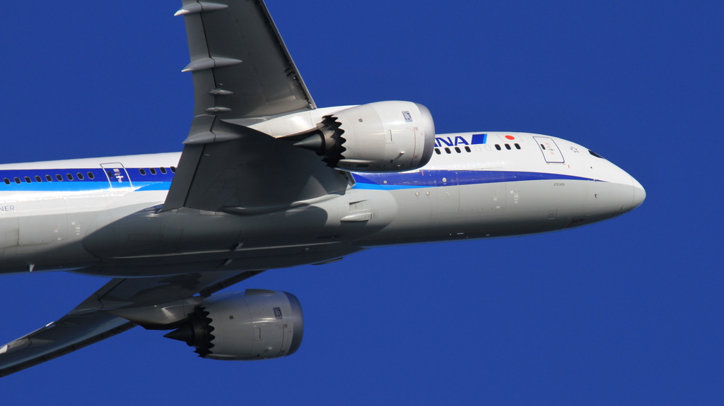 羽田787