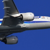 羽田787