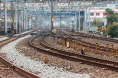 東海道大船　カラスが一羽線路に