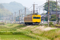 黄色い普通電車