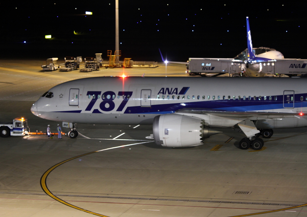 787の夜景です。