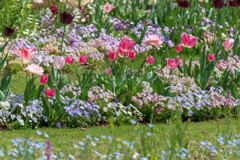 春の花壇