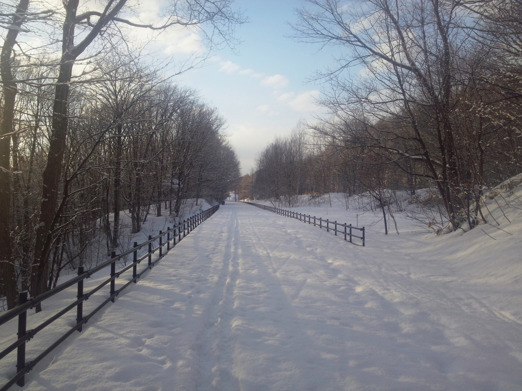 信号所までの雪道