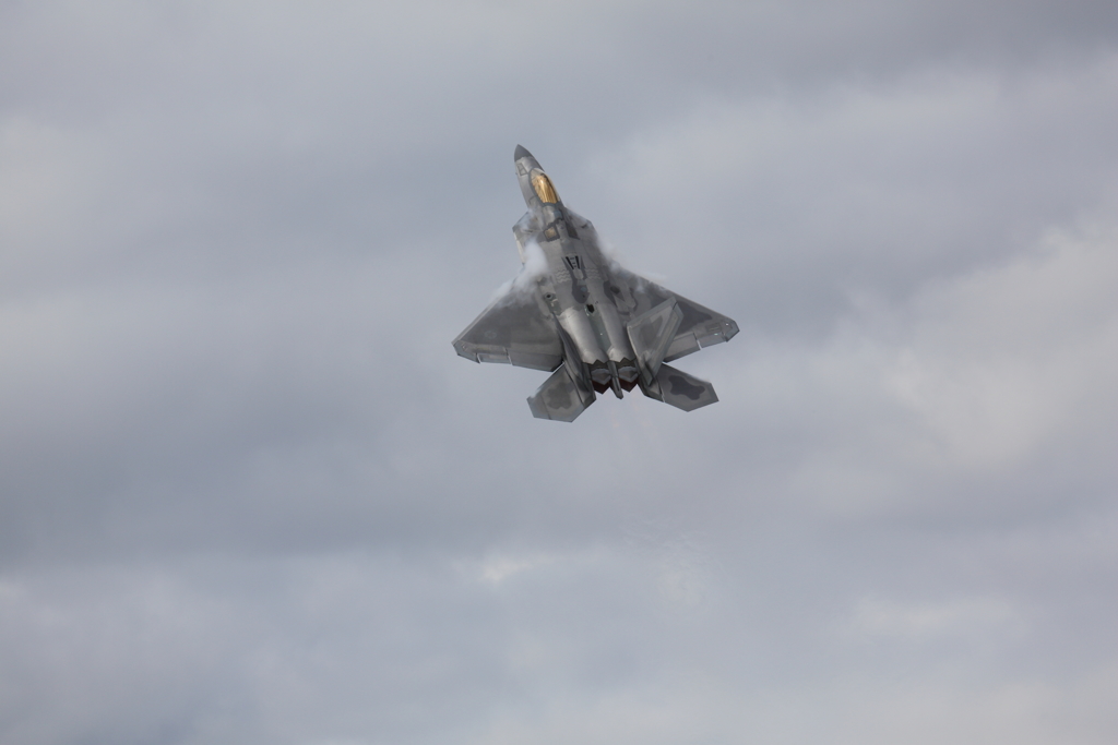 観覧席があれば