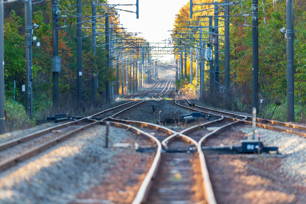 美々駅の残像