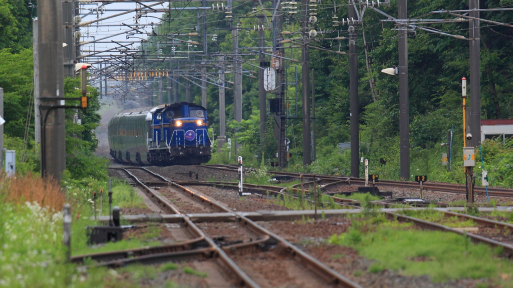 DD51が来た！