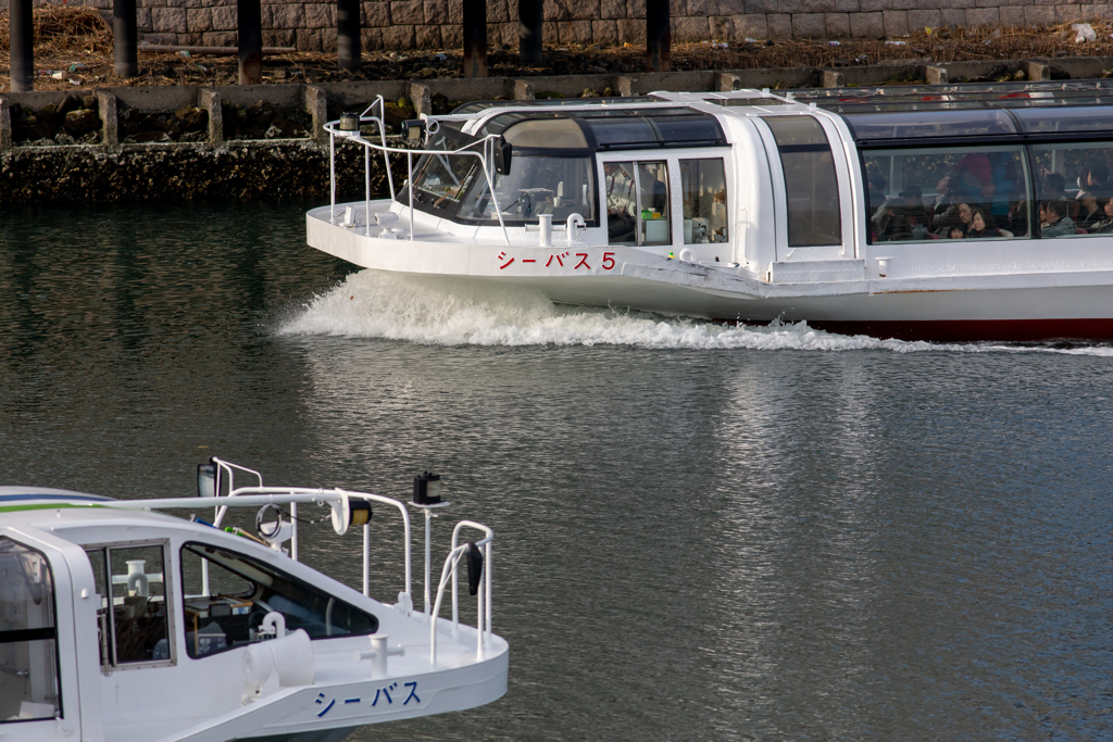 横浜駅東口　シーバス