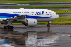 雨の羽田空港２