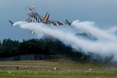 RIAT2017再現像６