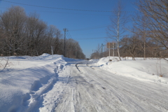 相棒と走った雪道３