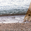 Hayama