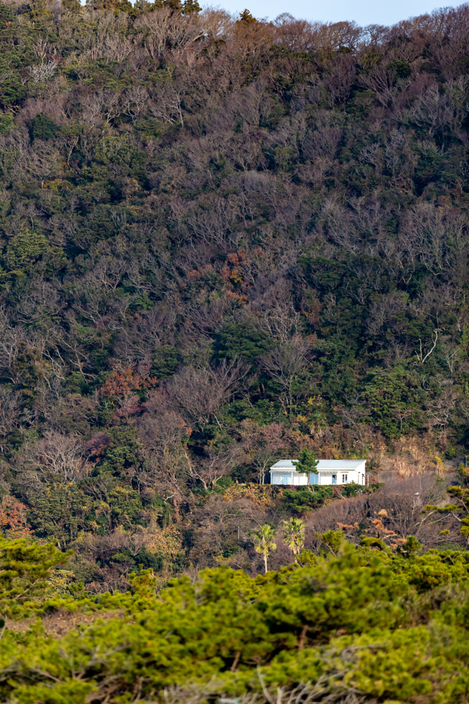 Hayama