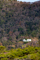 Hayama