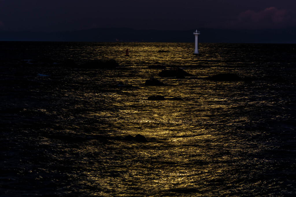 お月見　森戸海岸