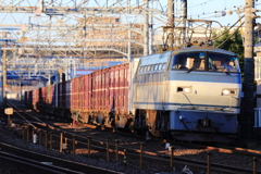 おはようサメさん