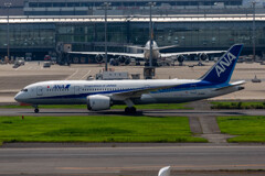 猛暑の羽田空港