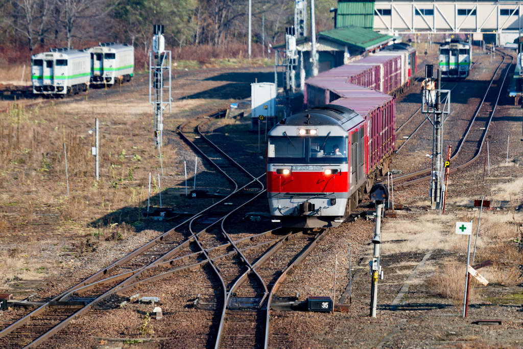 DF200赤熊３