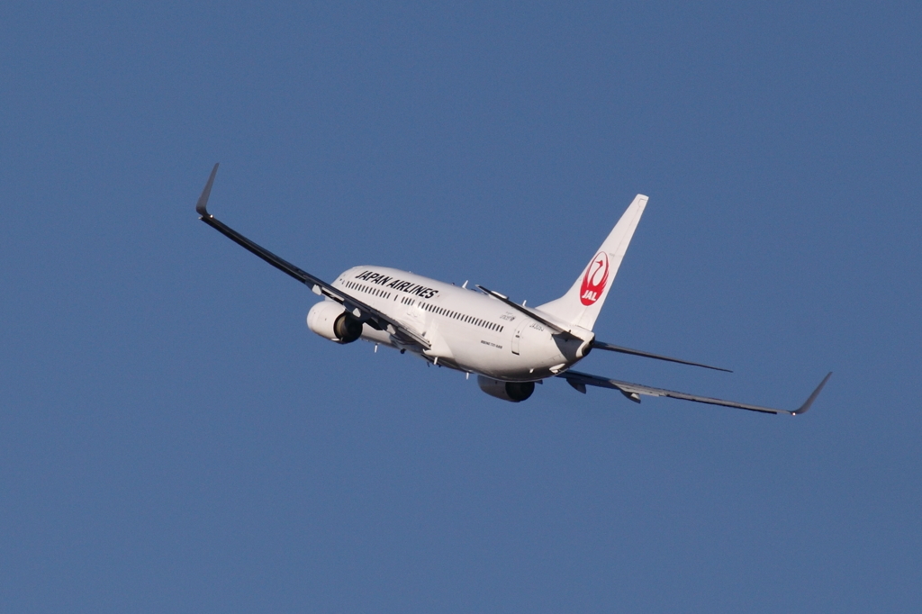 JAL737