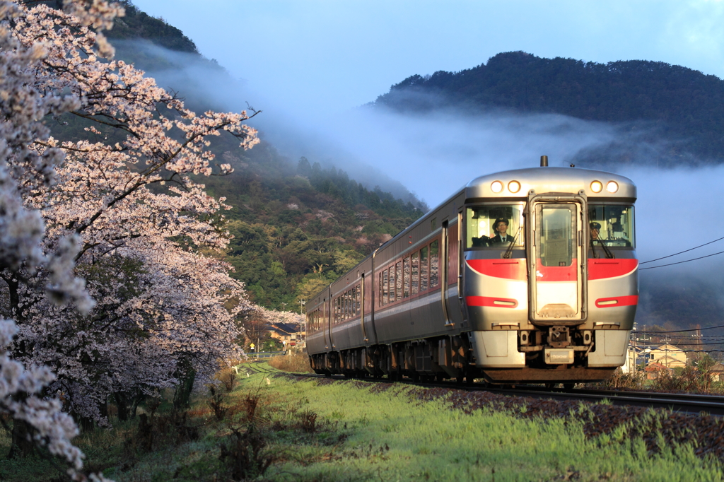 大岩駅の桜とはまかぜ