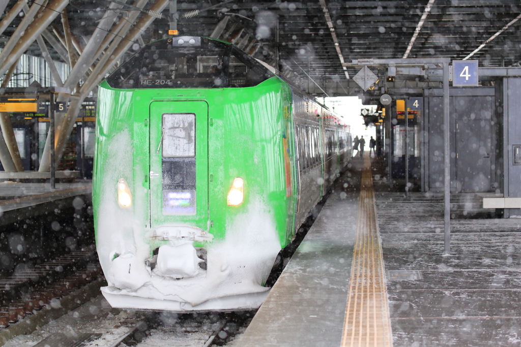 かき氷は如何ですか２
