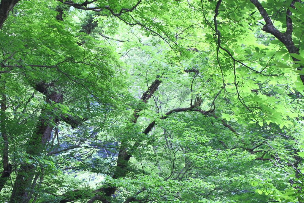 鳥取の美味しい水