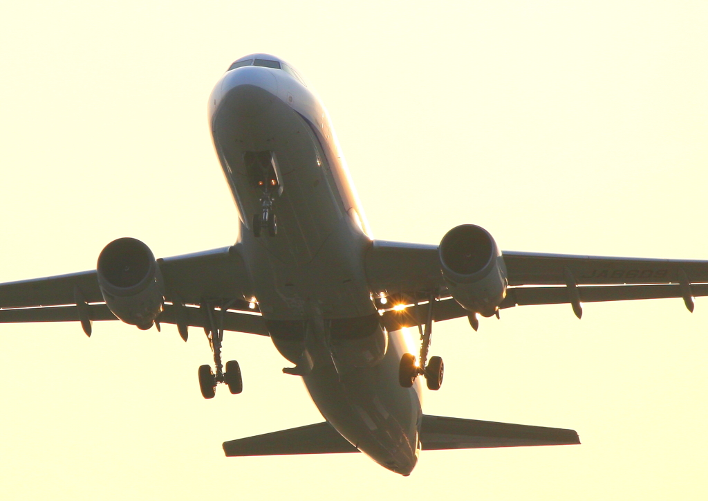 夕日を背中に脚を格納