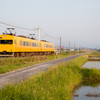 田植えと黄色い電車