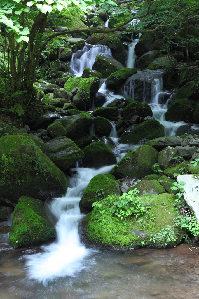 鳥取の美味しい水
