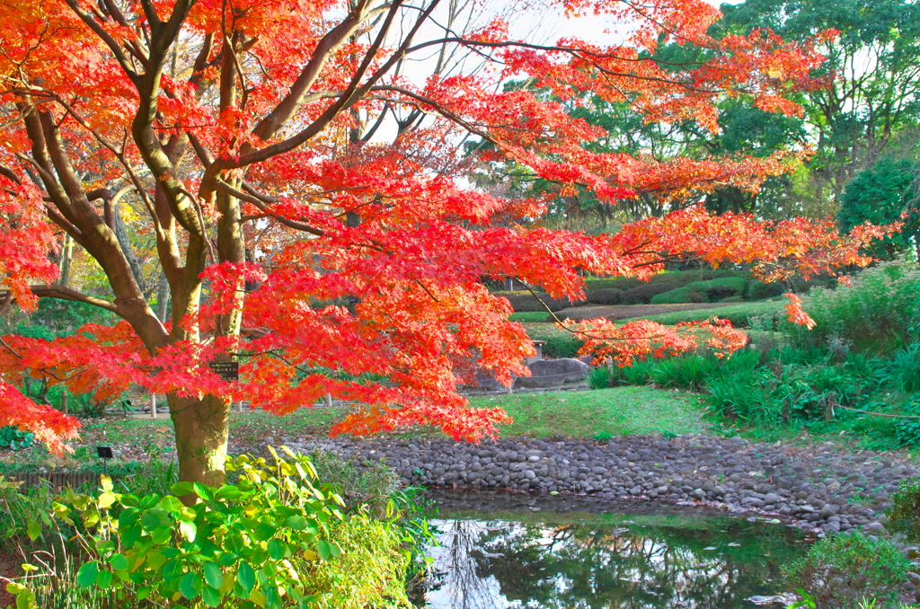 福岡市動植物園にて
