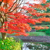 福岡市動植物園にて