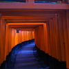 京都旅行　伏見稲荷神社