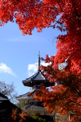 金峯山寺　吉野