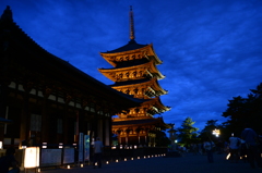 興福寺綺麗でした！