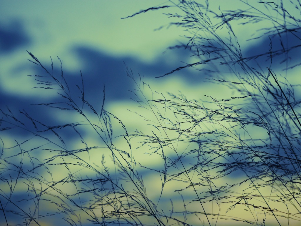 夕空3