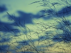 夕空3