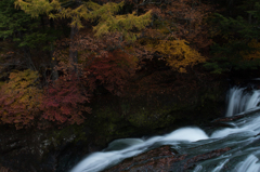 竜頭ノ滝