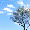 秋空
