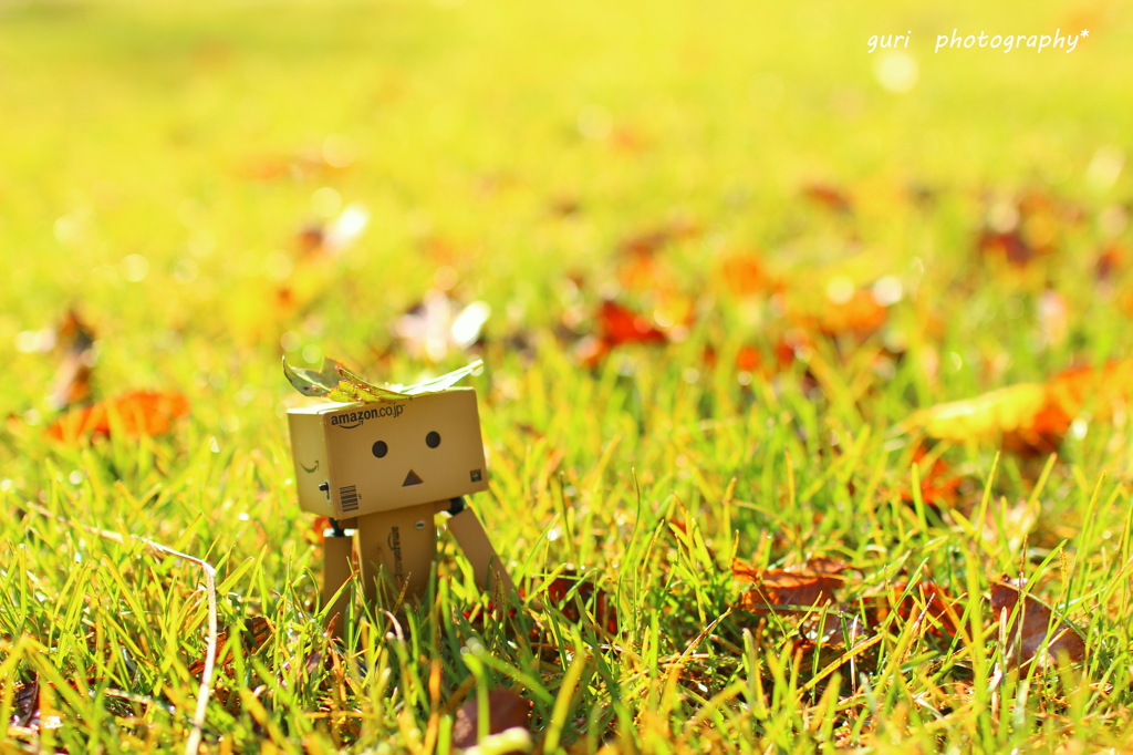 autumn　morning