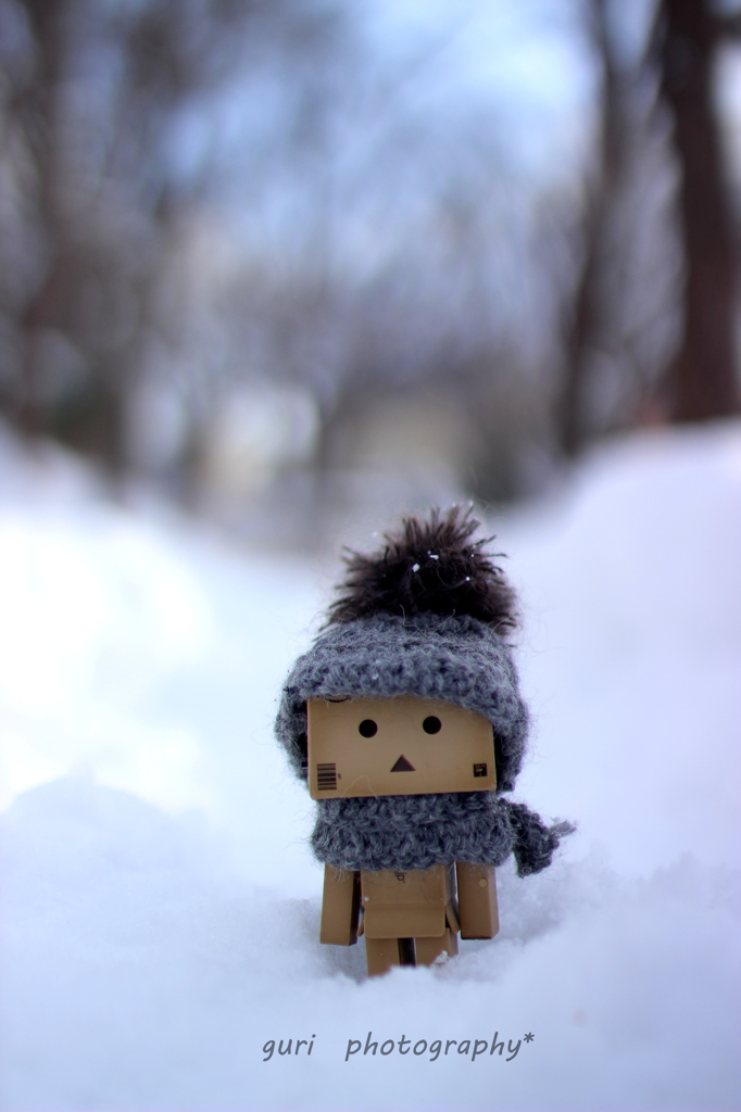 ボクは冬が好き By ぐりたん Id 写真共有サイト Photohito