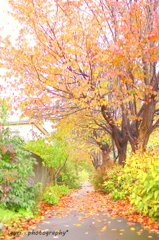 a crisp autumn daｙ