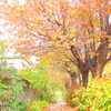 a crisp autumn daｙ