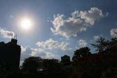 太陽と雲