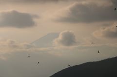 大山、富士見台より１