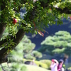 穏やかな休日