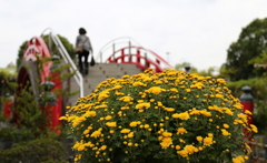 太鼓橋